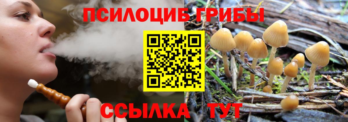 Псилоцибиновые грибы прущие грибы  Вход с VPN  Подольск 